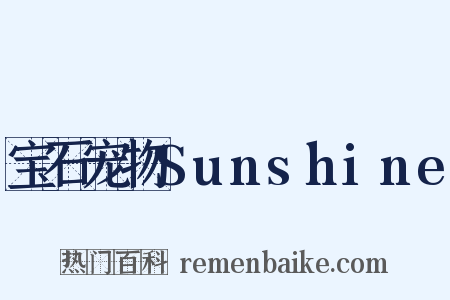 宝石宠物Sunshine是什么意思的图片